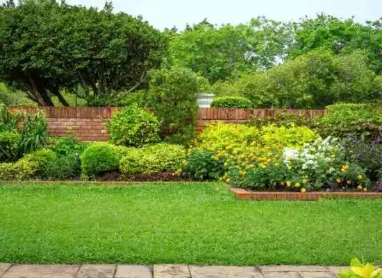 landscaping services Elmira